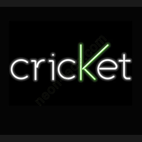 Criket neon sign
